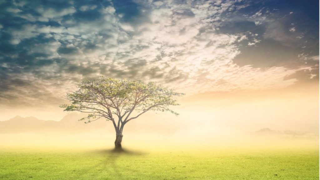 Healing Meditation & How to Become a Spiritualist Healer